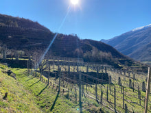 画像をギャラリービューアに読み込む, カレーマ・クラシコ2021