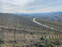 画像をギャラリービューアに読み込む, ランゲ・ロッソ・ペラヴェルガ・ジュリエッタ2022