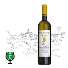 画像をギャラリービューアに読み込む, コッリオ・ピノ・グリージョ・ジェセラ 2022