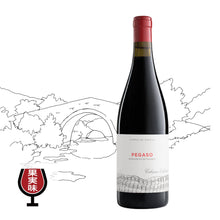 画像をギャラリービューアに読み込む, ペガソ・ピサーラ2019