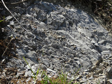 画像をギャラリービューアに読み込む, コッリオ・ピノ・ビアンコ・タリス2022