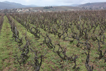 画像をギャラリービューアに読み込む, レニエ・グラン・エ・グラニット2022