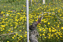 画像をギャラリービューアに読み込む, バローロ・ブルナーテ・リゼルヴァ2018