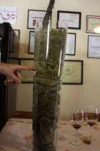 画像をギャラリービューアに読み込む, テッラ ! 2022