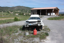 画像をギャラリービューアに読み込む, ブロンド2024