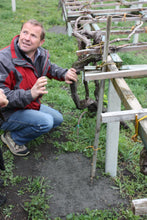 画像をギャラリービューアに読み込む, ブラン・ド・モルジェー・エクストラ・ブリュット2020