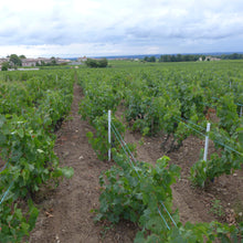 画像をギャラリービューアに読み込む, レニエ・グラン・エ・グラニット2022