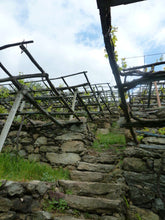 画像をギャラリービューアに読み込む, カレーマ・リゼルヴァ2020