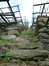 画像をギャラリービューアに読み込む, カレーマ・クラシコ2021