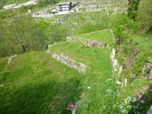 画像をギャラリービューアに読み込む, カレーマ・リゼルヴァ2020