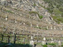 画像をギャラリービューアに読み込む, ブラン・ド・モルジェー・エ・デ・ラ・サッレ・レイヨン2020