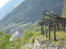 画像をギャラリービューアに読み込む, ブラン・ド・モルジェー・エ・デ・ラ・サッレ・レイヨン2020