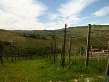 画像をギャラリービューアに読み込む, バローロ・モンプリヴァート2020