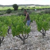 画像をギャラリービューアに読み込む, ルージュ・モーブ2016