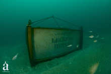 画像をギャラリービューアに読み込む, シャンパーニュ ”アビス” 2017