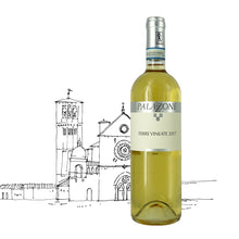 画像をギャラリービューアに読み込む, オルヴィエート・クラシコ・スペリオーレ・テッレ・ヴィナーテ 2023