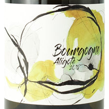 画像をギャラリービューアに読み込む, ブルゴーニュ・アリゴテ 2023