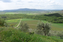 画像をギャラリービューアに読み込む, トスカーナ・ロッソ・パッソタッソ2022