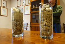 画像をギャラリービューアに読み込む, トスカーナ・ロッソ・パッソタッソ2022