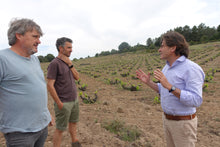 画像をギャラリービューアに読み込む, ブランコ・サンタ・クルース2019