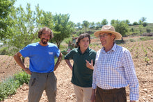 画像をギャラリービューアに読み込む, ペガソ・ゼータ2020