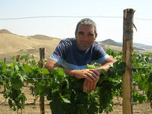 画像をギャラリービューアに読み込む, ラモレスカ・ロザート2022