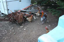 画像をギャラリービューアに読み込む, ルージュ・モーブ2016