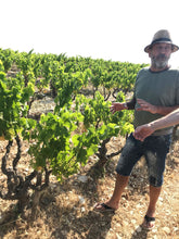 画像をギャラリービューアに読み込む, ルージュ・カメリア2016