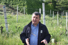 画像をギャラリービューアに読み込む, ロッソ・カルディン2016