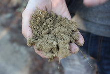 画像をギャラリービューアに読み込む, サンジョヴェーゼ・ディ・ロマーニャ・Sp・イル・サンジョヴェーゼ2021