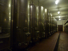 画像をギャラリービューアに読み込む, ビアンコ・ピネール(ピノ・ネロ)2022