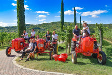 画像をギャラリービューアに読み込む, コッリオ・トラミネール・アロマティコ2021