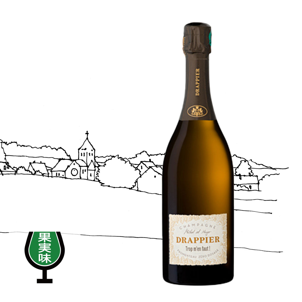 コトー・シャンプノワ・トロ・モウ・フォ　N.V